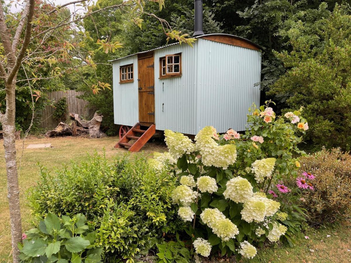 Fernwood Bed & Breakfast Рингуд Екстериор снимка