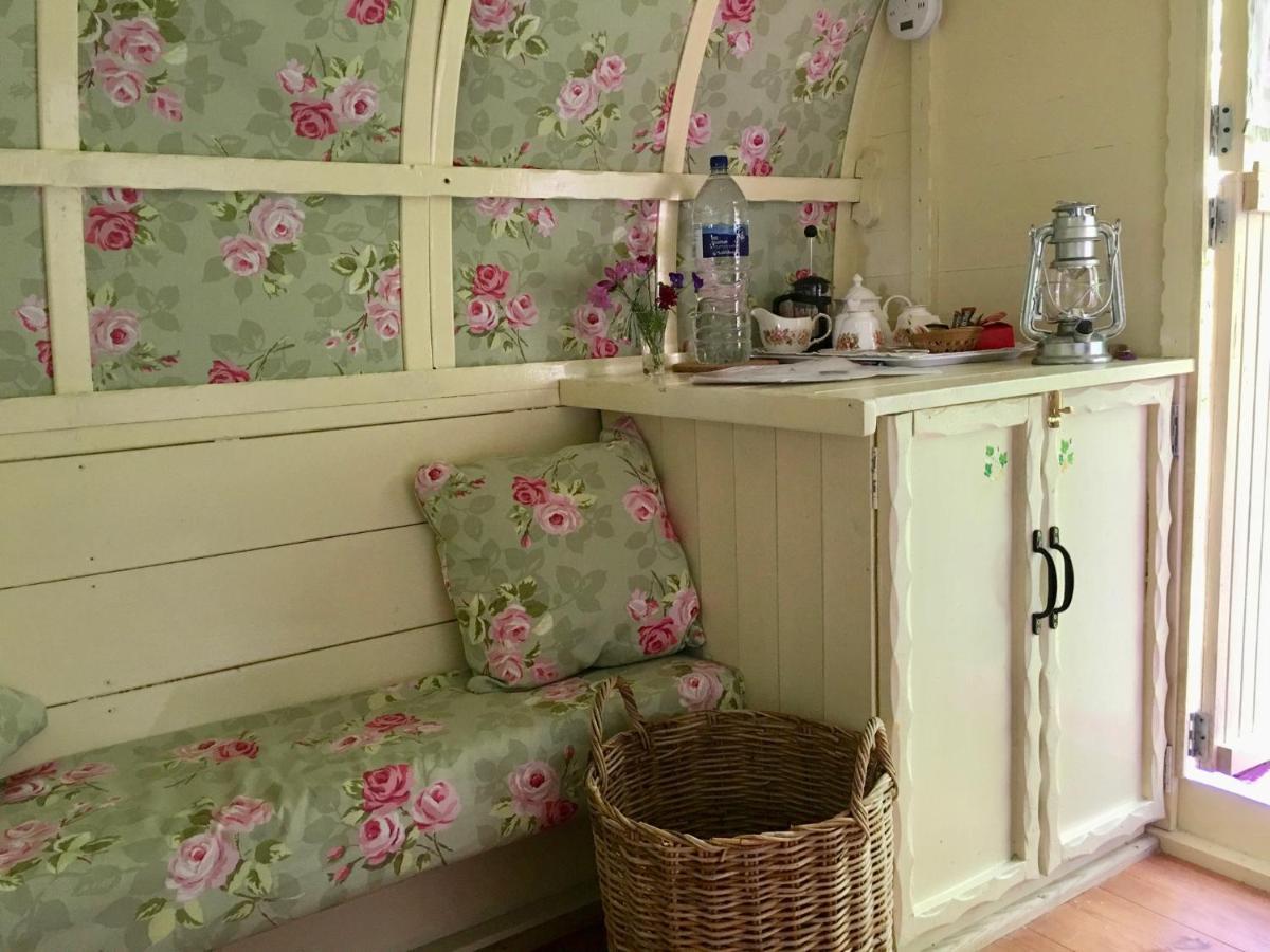 Fernwood Bed & Breakfast Рингуд Екстериор снимка