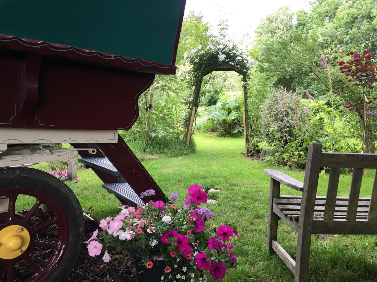 Fernwood Bed & Breakfast Рингуд Екстериор снимка