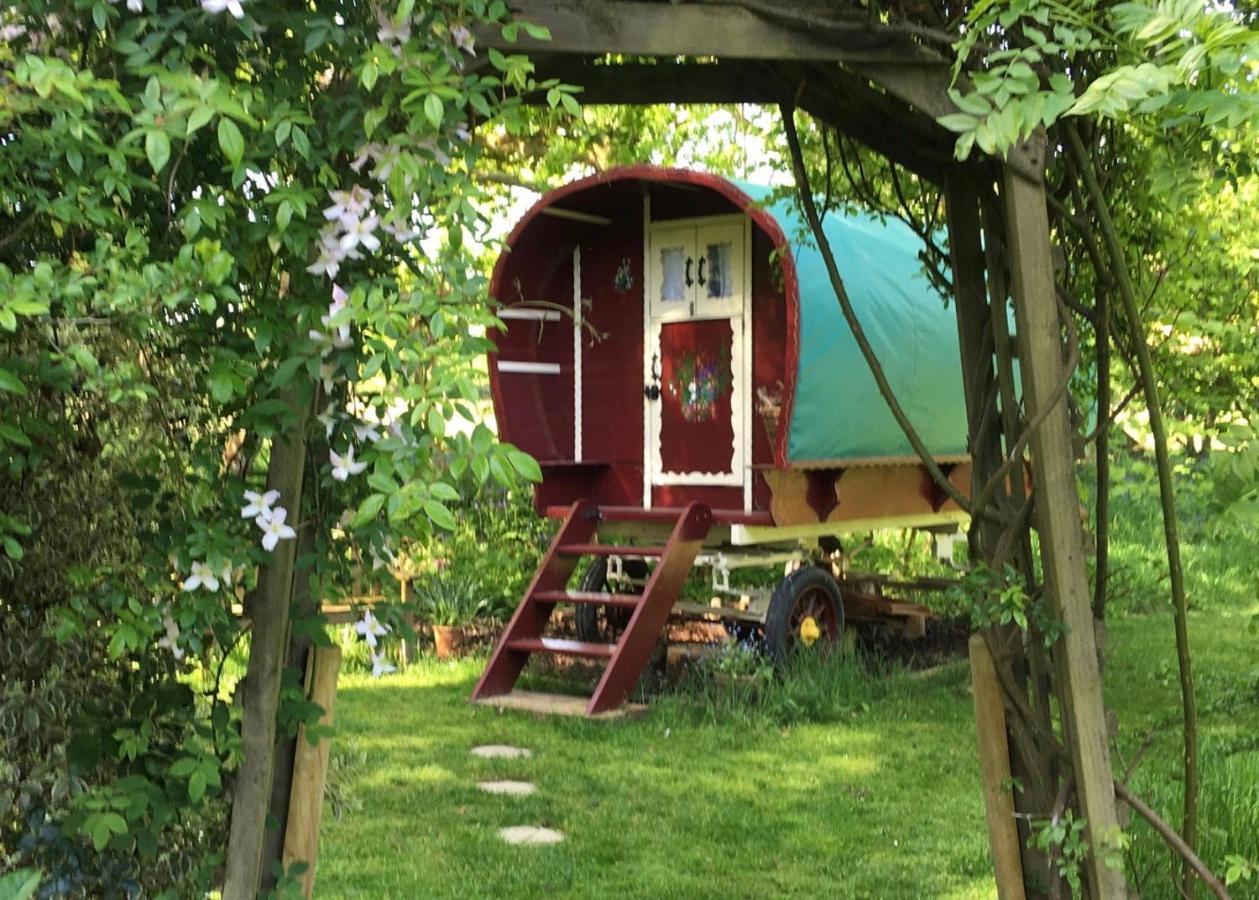 Fernwood Bed & Breakfast Рингуд Екстериор снимка
