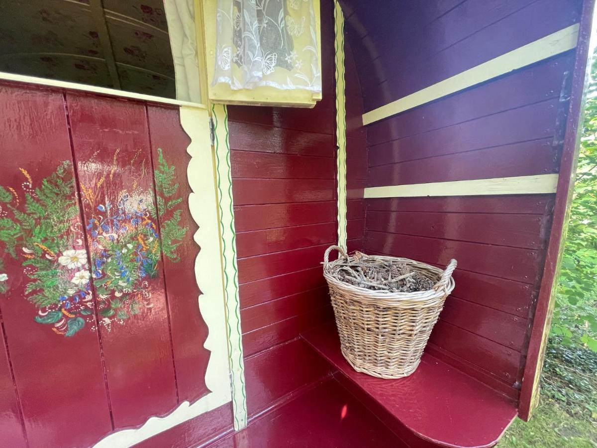 Fernwood Bed & Breakfast Рингуд Екстериор снимка