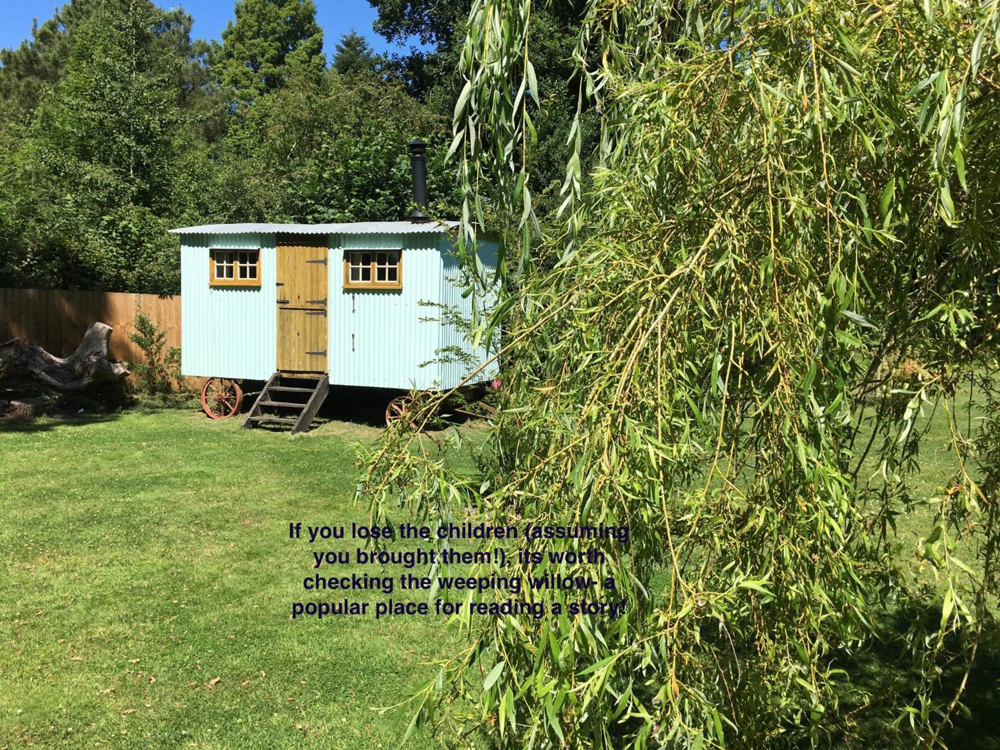 Fernwood Bed & Breakfast Рингуд Екстериор снимка